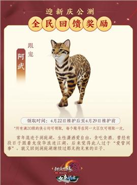 天龙八部私服盛世火龙